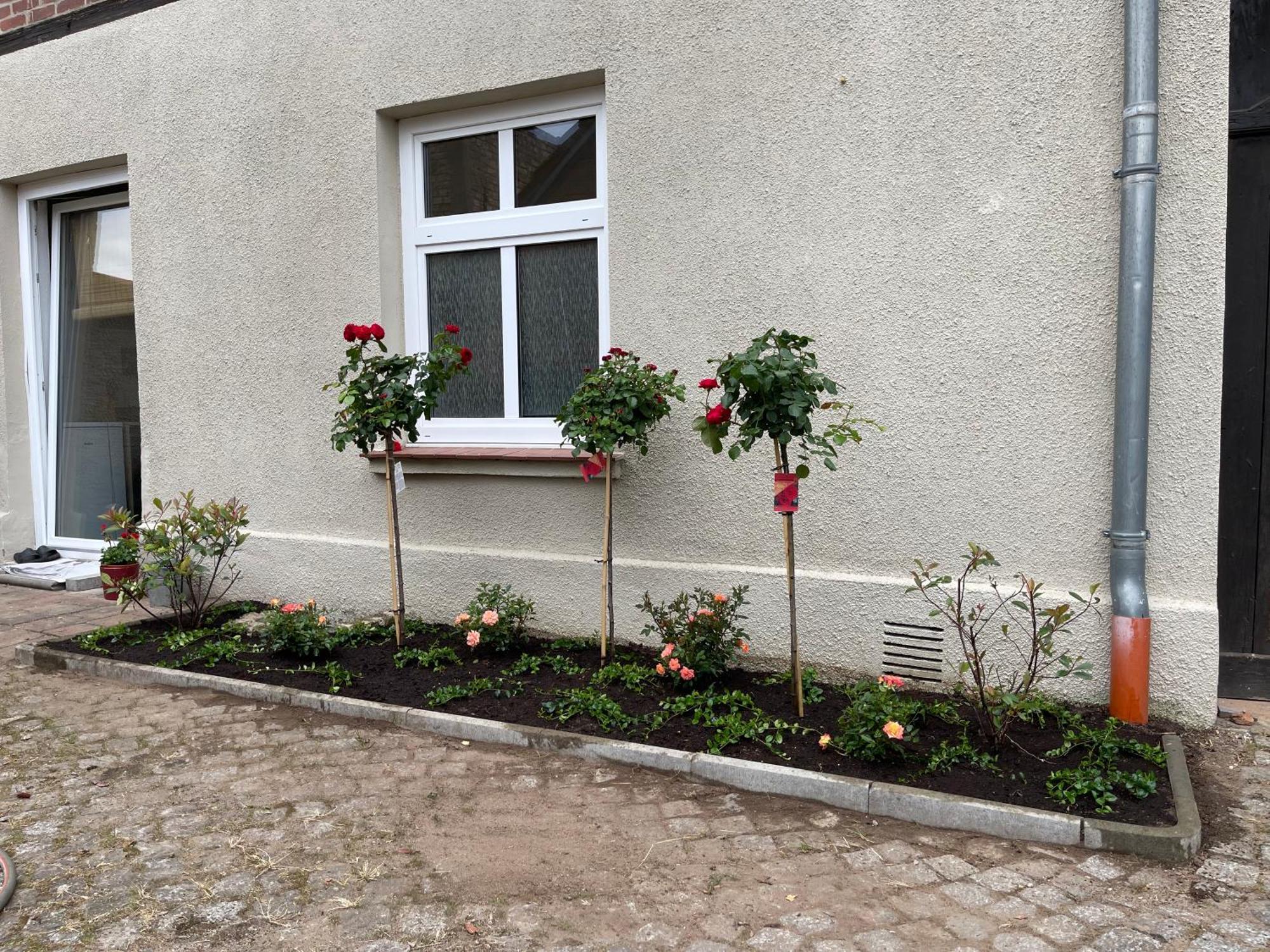 Hofquartier Schwerin Apartment Schwerin  Exterior foto
